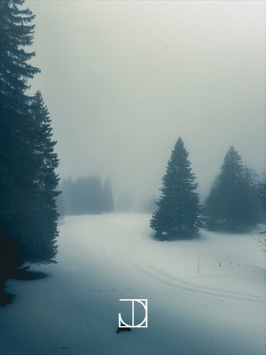 photo paysage neige ski nuage forêt