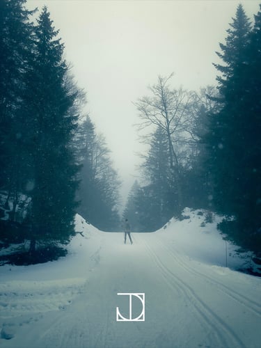 photo paysage neige ski nuage forêt