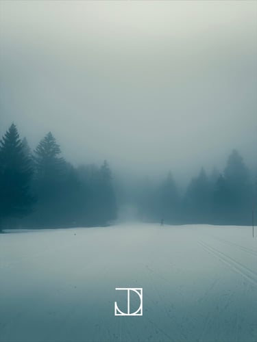 photo paysage neige ski nuage forêt