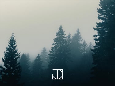 photo paysage nuage forêt