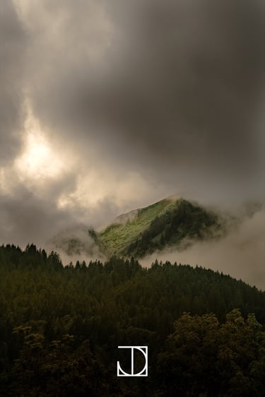 photo paysage montagne nuage forêt