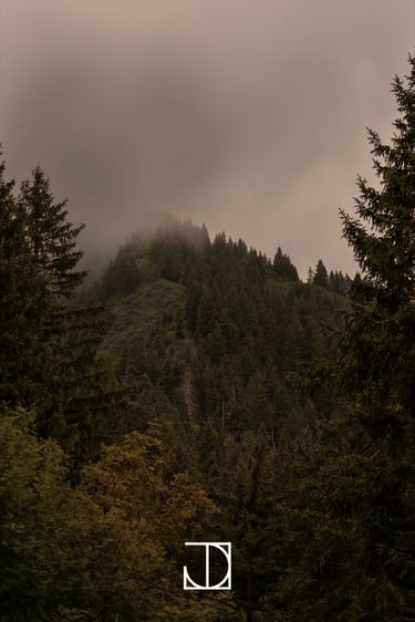photo paysage montagne nuage forêt