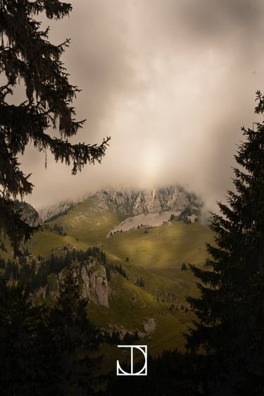 photo paysage montagne nuage forêt