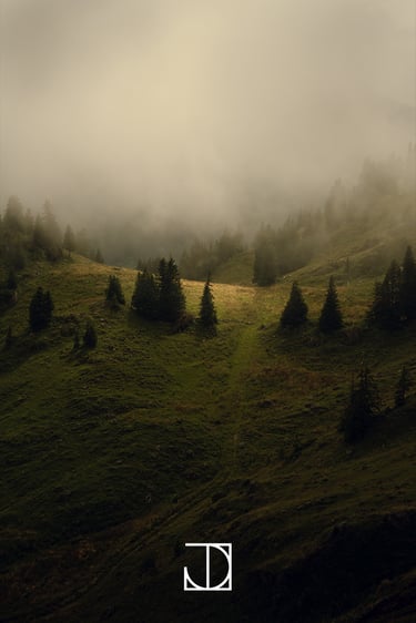 photo paysage montagne nuage forêt
