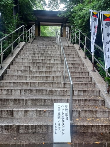 Shrine steps in Japan