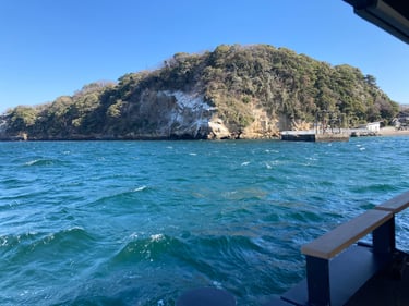 Boat ride view of Monkey Island in Japan