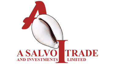 A SALVO TRADE AND INVESTMENT LIMITED logo