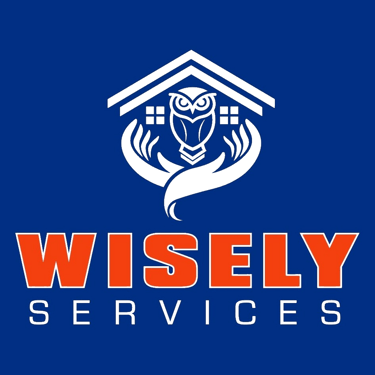 Wisely Services LLC logo