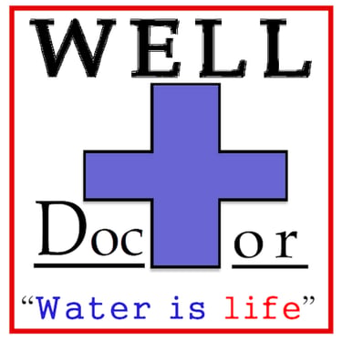 The Well Doctor, LLC logo