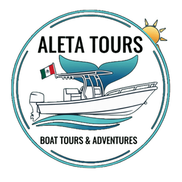 Aleta Tours logo