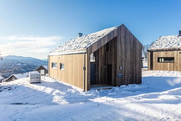 Wooden cabins