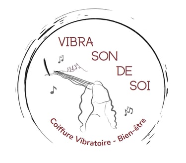 Vibra Son De Soi logo