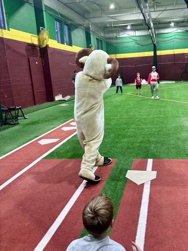 cheshire youth baseball