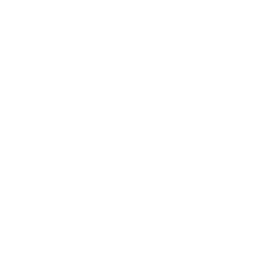 Baltas Vilkas - Kyokushin Karatė Mokykla Vilniuje logo