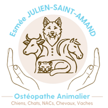 Esmée JULIEN-SAINT-AMAND  Ostéopathe Animalier OA1753 logo