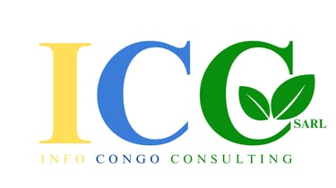 Info Congo Consulting SARL logo