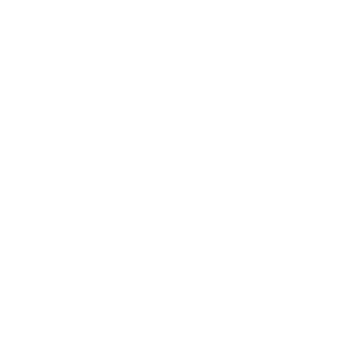 Drone Pilots Africa logo