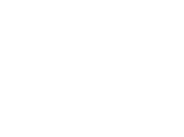 Salus Survival School logo