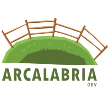 Arcalabria logo