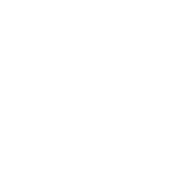 Dandy Watches logo