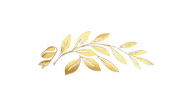 Empereur logo