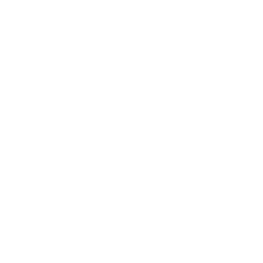 VJ sustentable logo
