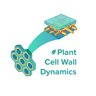 Green cell wall dynamics lab logo