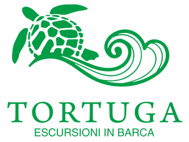 Gite Escursioni in barca Scalea, Arcomagno, Isola di Dino - Tortuga / Maria S.S del Carmine logo