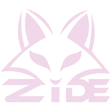Zide Latam logo