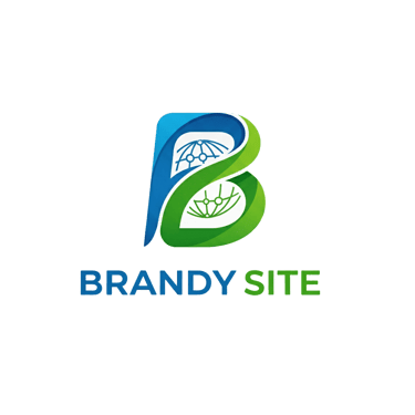 Brandy Site for Digital Services logo