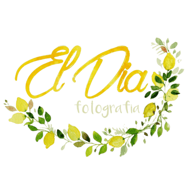 El Dia Fotografia - Servicii foto profesionale pentru nunta, botez, cununie si sedinte foto. Albume foto premium personalizate. logo