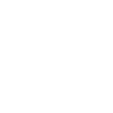 Fernando Sande logo