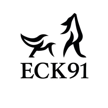 Evry-Courcouronnes Karaté 91 logo