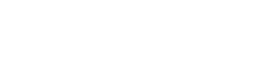 Tanapa Palmer | Full-Stack Software Developer logo