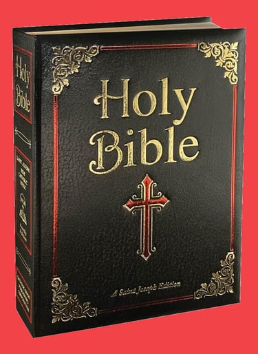 Bible Studies by Dr. Michael Karimattam logo