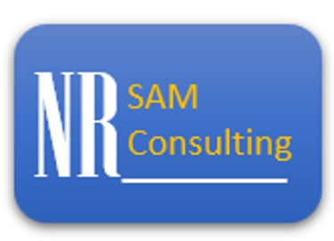 NR SAM Consulting logo