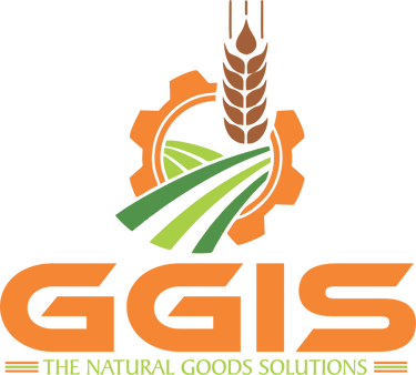 Globex Goods Impex Solutions logo