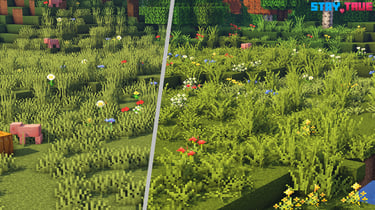 Grass Variants