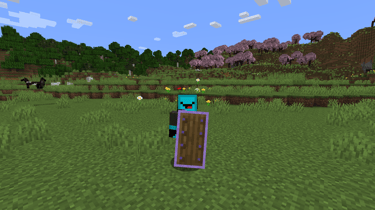 Amethyst Shield