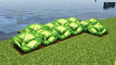 Fancy Crops - Farmer's Delight's Cabbages
