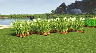 Fancy Crops - Farmer's Delight's Onion