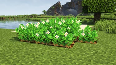 Fancy Crops - Potatoes