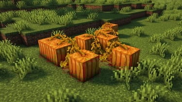 Fancy Crops - Pumpkin