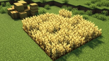 Fancy Crops - Wheat