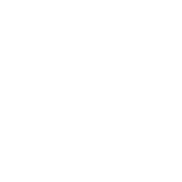 Windwalkers Solutions logo