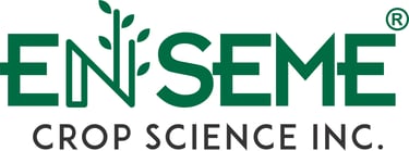 Enseme logo