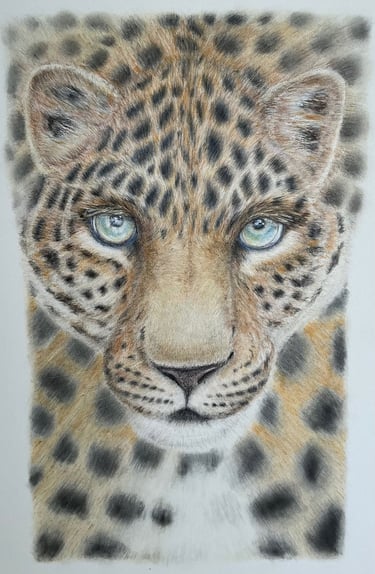 Leopard