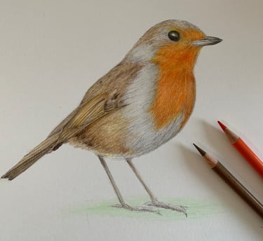 Robin