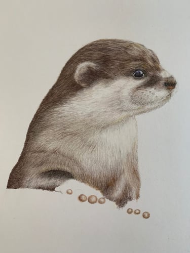 Otter