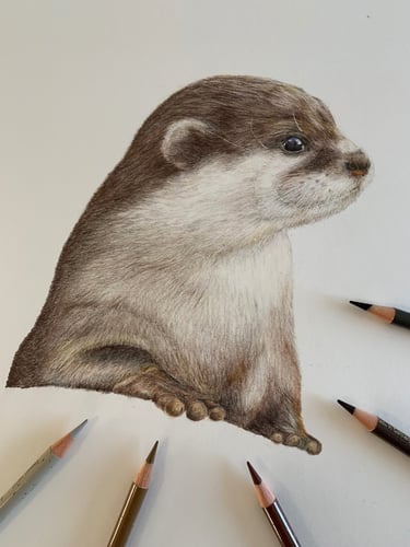 Otter